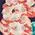 Creative Energy Floral Sundress