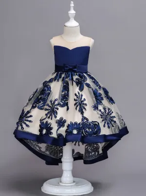 Sheer Collar Blue Embroidered Hi-Lo Dress